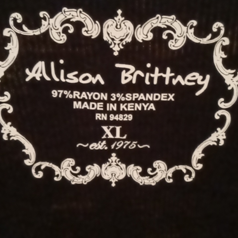 NWT Allison Brittney rayon/spandex blend s/s black v-neck blouse XL
